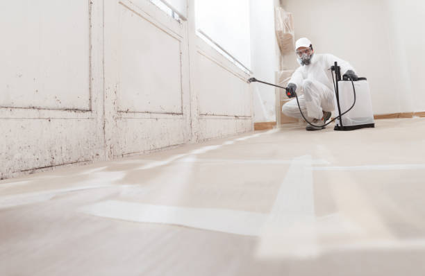 24/7 Emergency Mold Inspection experts in Franklin, NC
